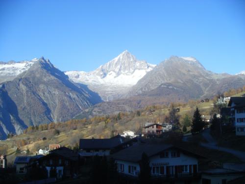 dscf9604.jpg