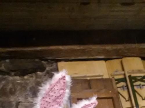 20150214_151136.jpg