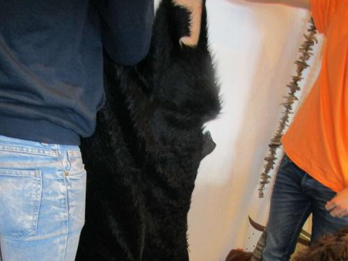 img_2304_web.jpg